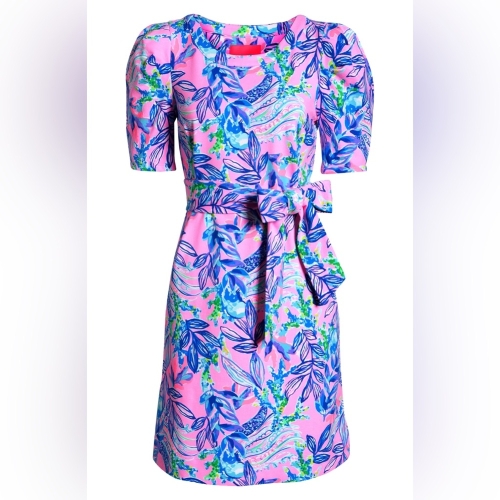 Lilly Pulitzer dress 🌸